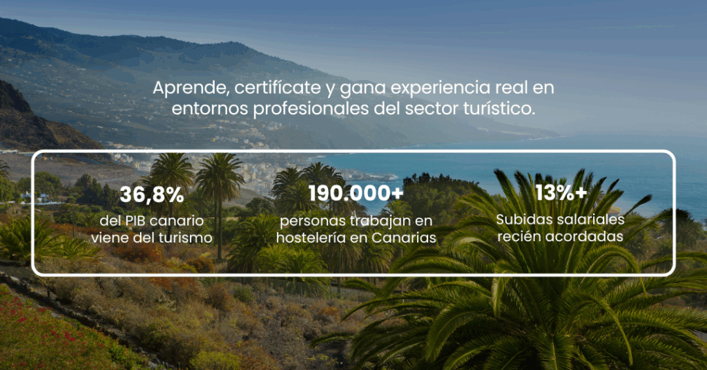 Imagen con foto de fondo de canarias con datos sobre el sectos turístico en las islas